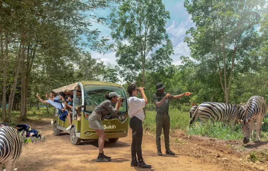 SAFARI VALLEY RESORT