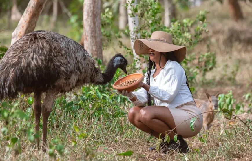 SAFARI VALLEY RESORT