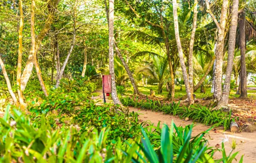 ANKOBRA BEACH RESORT