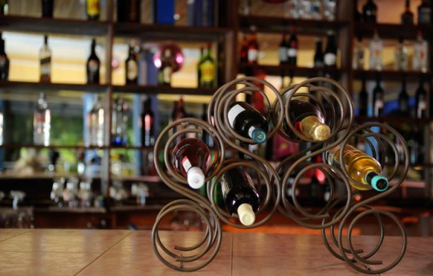 MOUNT PLEASANT INNS & APARTMENT