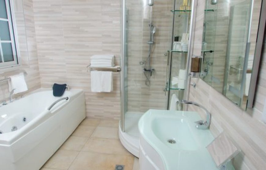 ZIMANSKY HOTEL