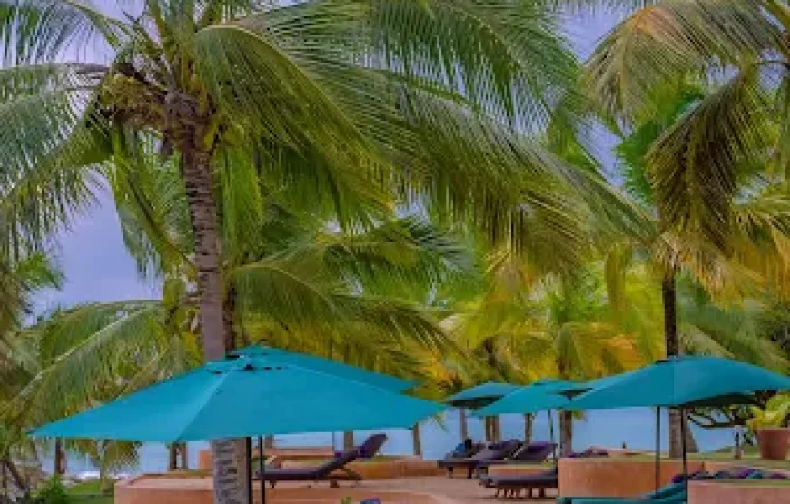 LOU MOON-ECO LUXURY RESORT