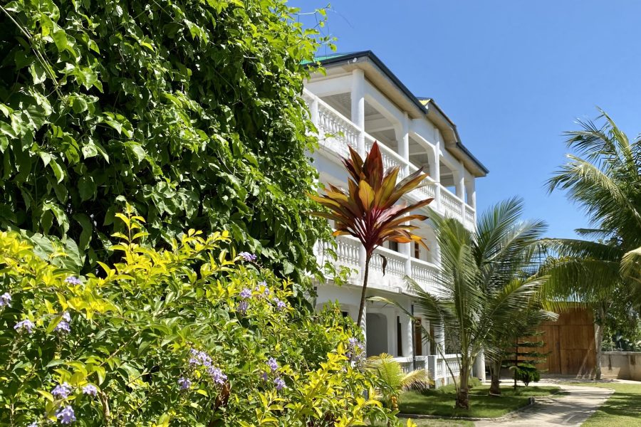 LAUGHING GOAT- GHANA