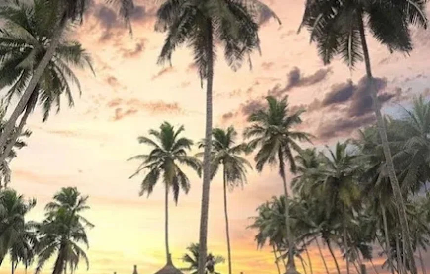 VENICE VIEW BEACH RESORT